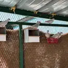 حمام الماسي