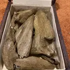 مروكي اصقون تربل وفيه كسر كنق ثمن كيلو اصقون نكهه فخمه