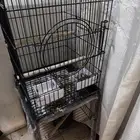 قفص كبير كاسكو شبه جديد