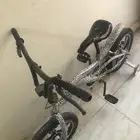 سيكل كبير