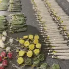 اعواد سكر انيقه لتحليه مشروباتك