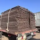 شبوك غنم للبيع