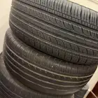 جنوط بكفرها