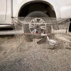 قمري خرج للبيع جوزين