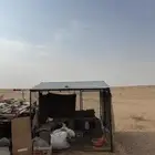 شبك بقلاوة