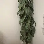 شجرة صناعية للبيع