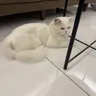 المدينه المنوره