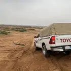 نقل طيور