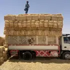 تبن بر صافي