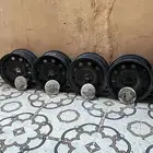 جنوط بوليسي