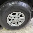 جنوط الكزس وبالون