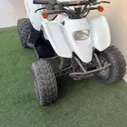 دباب 100 نظيف