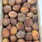 تمر نبته سلطانة