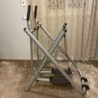 الغزال الطائر