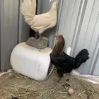 بسم الله ماشالله تبارك الله