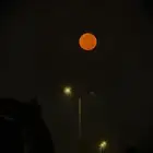 مطلوب دينا للبيع