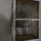 شبك حمام دجاج حضانة طير روز