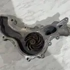 طرنبه ماء تشاجر مديل 2019