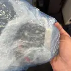 سوتش باب الشنطنه فيلوز