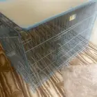 شبك حيوانات اليفة