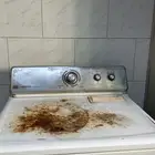 مجفف حراري ماركة ميتاج mayteg سعته 10 ماركة امريكيه