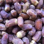صقعي احمر طيب للبيع
