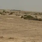 شبوك بجميع انواعها