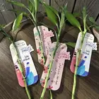 توزيعات ليوم المعلم