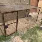شبك دجاج