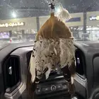 ملواح طير حبارى