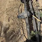 دفرنس كلتشات يابانيه