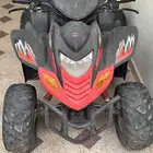 دباب تايواني نظيف