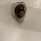 خاتم