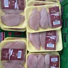 دجاج فيليه صدور افخاذ قوانص اجنحه