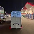 عربه الخيل راس واحد للبيع