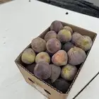 حماط كراتين