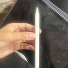 قلم ابل