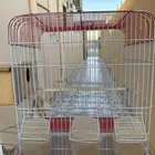 قفص طيور للبيع