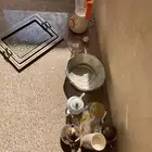 خلاط تباسي صحون