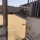 حوش للبيع داخل مهب على الشارع داخل النقل فوري التواصل خاص