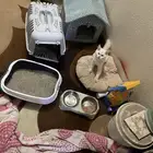 بسه