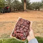 تمر خلاص اشيقر