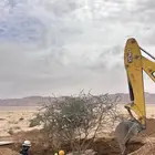 اعمال الاشجار