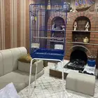 قفص للبيع