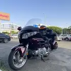 هوندا قولد وينق