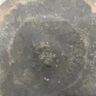 مطلوب سجاد وزوالي بسعر الجملة