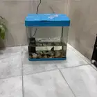 حوض سمك مع فلتر مع ثلاث سمكات