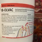 حمام   IB-OLVAC