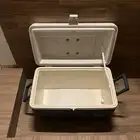 صبارة igloo الأمريكية