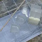 اربعة اقفاص مقاس 601 جديد ..